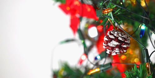 Close Up of Festive Christmas Tree with Lights