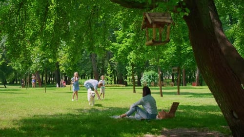 Family Fun in Park with Golden Retriever