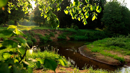 River Landscape