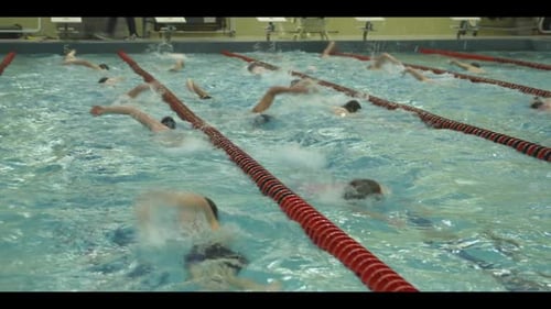 Swimmers Practicing in a Pool for Competition