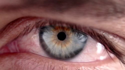 Close-up of a Male's Eye