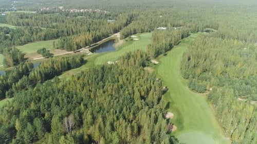 Summer Sunny Day Aerial View of Golf Course in Forest Area Golf Club View of the Field of Green Lawn