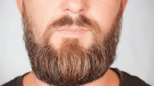 Man Shows Off Beard in Close Up Studio Shot