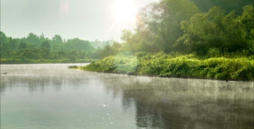 Morning At The River