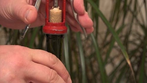 Open a Wine Bottle With a Corkscrew