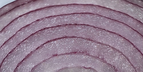 Onion