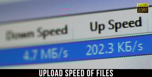 Display of Upload and Download Speed Rates