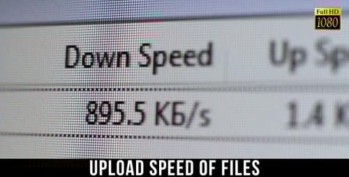 Download and Upload Speeds on Computer Monitor