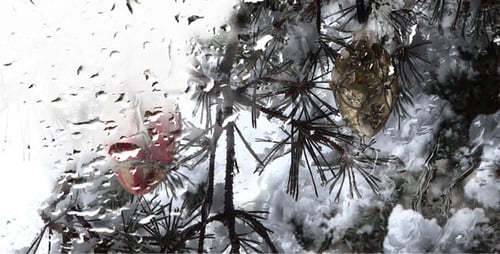 Christmas Tree Ornaments Seen Through Rainy Window