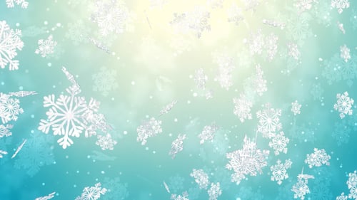 Snow Flake Crystals