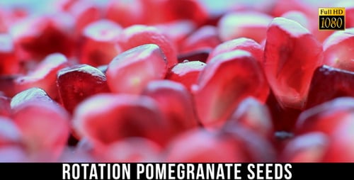 Close Up Pomegranate Seeds Filling the Frame