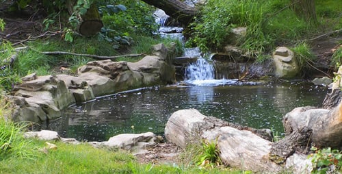 Small Creek