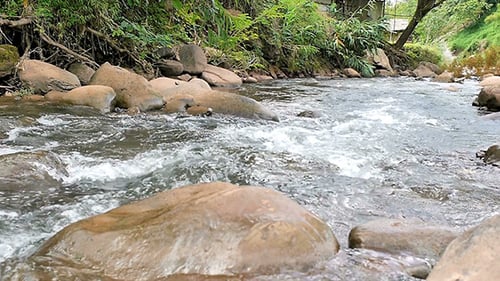 Stream Flowing Water 02