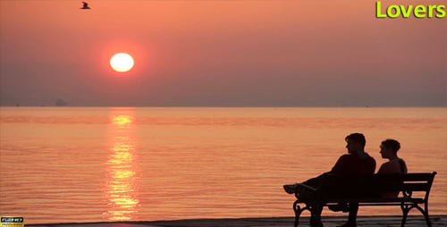 Couple Watching Scenic Sunset on Bench by Ocean