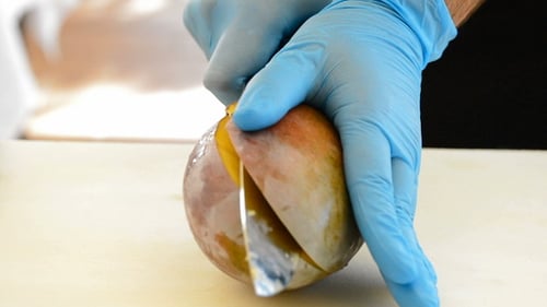 Gloved Hands Cutting Fresh Mango with Sharp Knife