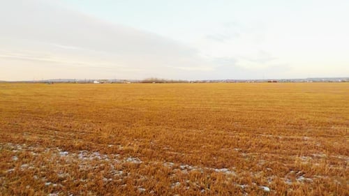 Flying Over the Fields to the Horizon 2