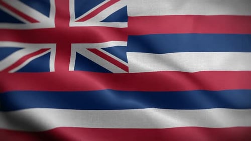 Waving Hawaiian Flag Seamless Loop Animation