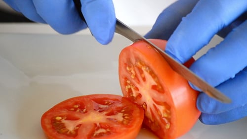 Gloved Hands Slicing Tomato For Cooking Preparation