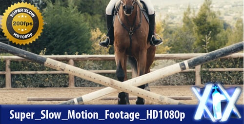 Oxer de salto de cavalo