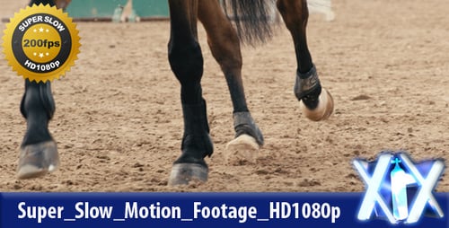 Horse Kicking Sand