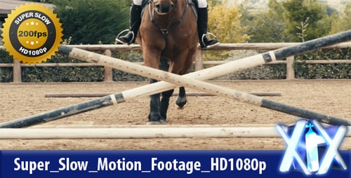 Horse Jumps Over Obstacles in Slow Motion