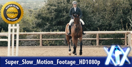 Woman Riding Horse at Canter in Arena