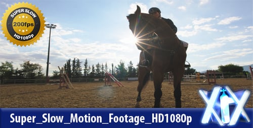 Horse and Rider in Sunny Riding Course