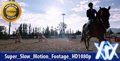 Horse and Rider Trot on Outdoor Equestrian Course