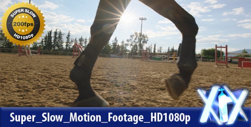 Horse Trotting in Sunny Rural Training Arena