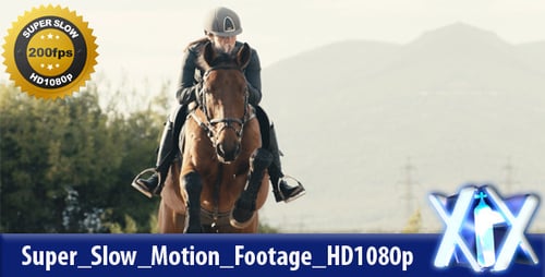 Elegant Woman Riding Horse Outdoors