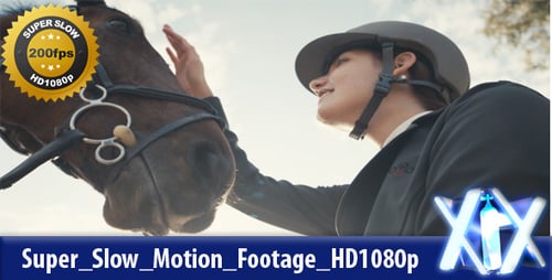 Woman in Equestrian Gear Bonding with Brown Horse