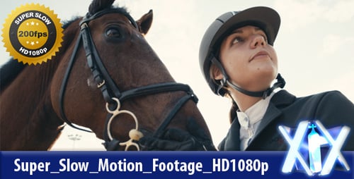 Horse and Rider Bonding in Open Air