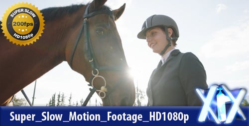 Smiling Woman Petting Brown Horse at Riding Facility