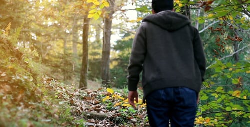 Autumn