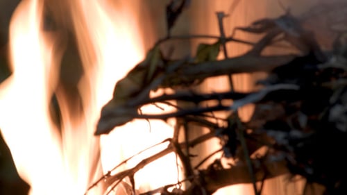 Feuer & Flamme