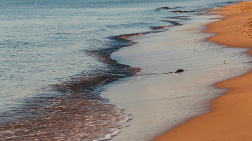 Meereswellen und Sandstrand im Morgengrauen