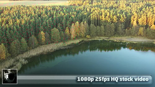 Aerial View of Lake and Forest at Sunrise