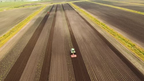 Tractor Cultivates the Land in the Field.
