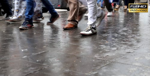 Walking Crowd