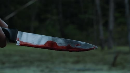 Hand Holding Knife with Blood Closeup