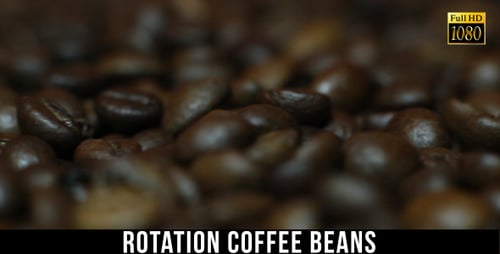 The Coffee Beans