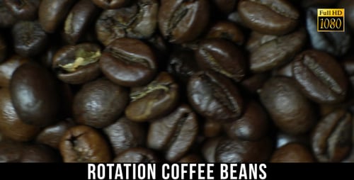 The Coffee Beans 4