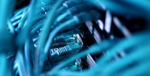 Macro View of Blue Ethernet Cables in Server Room