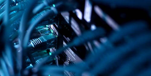 Ethernet Cables Plugged into Switch with Blinking Lights