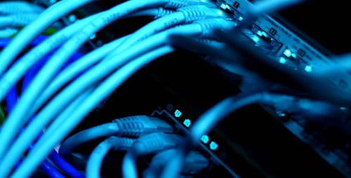 Network Switch with Cables and Blinking Blue Lights