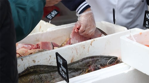 Verkauf von frischem Fisch