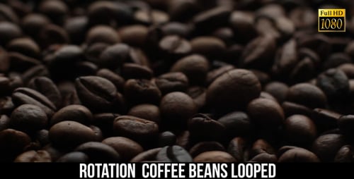 The Coffee Beans 7