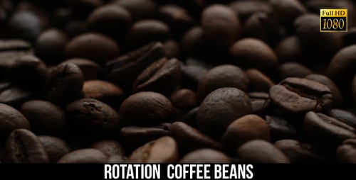 The Coffee Beans 8
