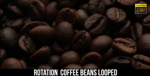 The Coffee Beans 9
