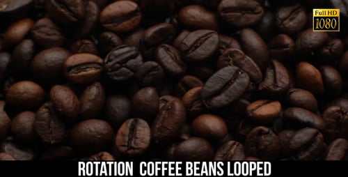 The Coffee Beans 10